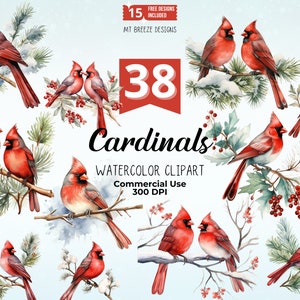 24 Cardinals Aquarell Clipart Set, hochauflösende Winterferien Roter Vogel Clip Art PNG-Dateien für die Kartenherstellung, Papierhandwerk, Sublimation