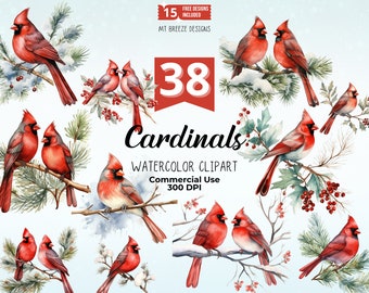 24 Cardinals Watercolor Clipart Set, High Resolution Winter Holiday Red Bird Clip Art PNG files for card making, paper crafts, sublimation