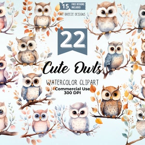 Ensemble de 25 cliparts aquarelle hiboux mignons, feuilles haute résolution et fichiers PNG clip art hibou oiseau - création de cartes, créations en papier, sublimation