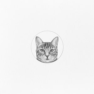 Custom Pet Portrait Drawing, Pet Portrait From Photo, Sketch From Photo, Personalized Gift, Cat Drawing, Cat Lover Gift,
