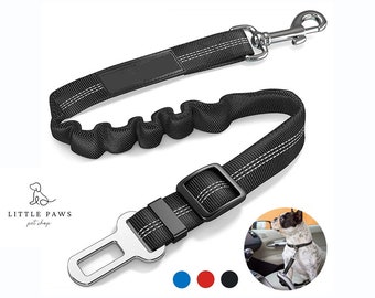 Ultimate Car Safety Leash | Dog Safety | Pet Store