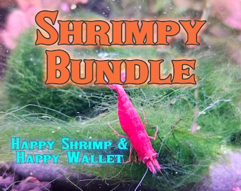 The Shrimpy Bundle - Stock your Shrimp tank with beautiful plants and an algae buffet!