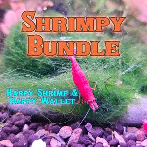 The Shrimpy Bundle - Stock your Shrimp tank with beautiful plants and an algae buffet!