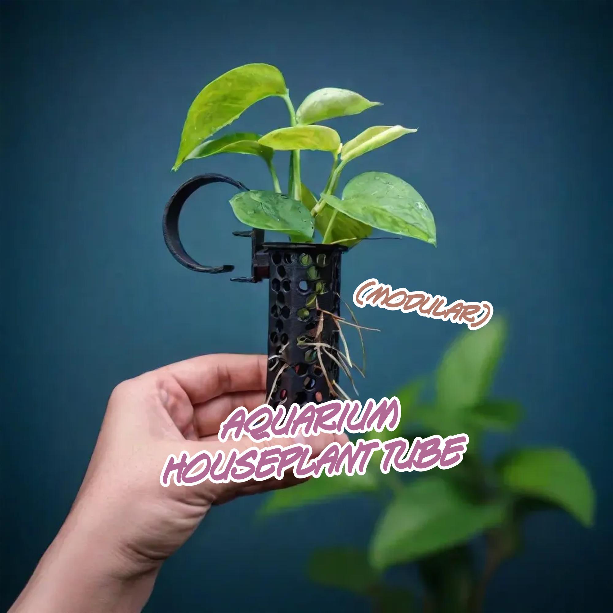 Aquarium plant pots - Etsy.de