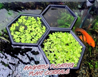 Portail d'alimentation magnétique flottant HexaLink pour aquarium de corral de plantes