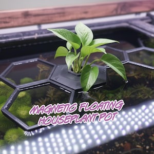 Magnetic Floating Plant Pot for Aquariums Houseplants | HexaLink