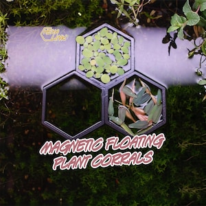 以下が含まれることがあります： 黒い六角形の磁気浮遊植物コーラル。水生植物が詰められています。画像には、3つの接続されたコーラルが表示され、2つは緑色の植物で満たされ、1つは空です。「MAGNETIC FLOATING PLANT CORRALS」というテキストがピンク色で表示されています。