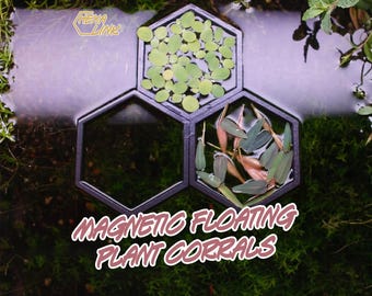 HexaLink - Porta di alimentazione galleggiante magnetica per piante da acquario