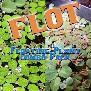 FLOT! The Ultimate Floating Plant Bundle [4+ UNIQUE FLOATER Types!