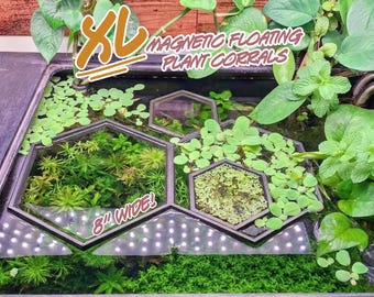 Support flottant pour plantes - Anneau magnétique HexaLink XL pour aquarium