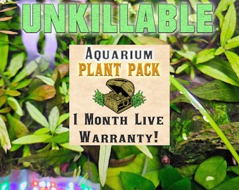 Unkillable EASY Aquarium Plant Bundle with 1-Month Warranty - Rare Beautiful Hardy Plants