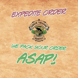 Op de afbeelding: Een afbeelding met een getextureerde, bruinachtige achtergrond. De tekst "EXPEDITE ORDER" is in roze en wit. Een logo voor "Sunken Treasure Aquatics" toont een schatkist. De tekst "WE PACK YOUR ORDER ASAP!" is groen en wit.