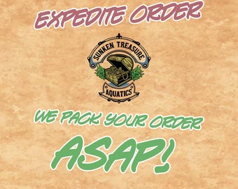 PEDIDO URGENTE - Procesamiento prioritario lo antes posible