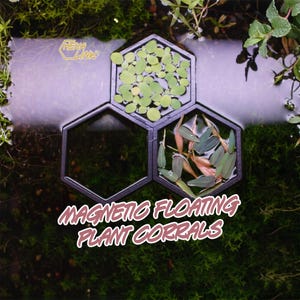 HexaLink Floating Plant Corrals Magnetic Hexagon for Aquariums, Durable PETG Plastic
