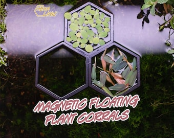 HexaLink Floating Plant Corrals Magnetic Hexagon for Aquariums, Durable PETG Plastic