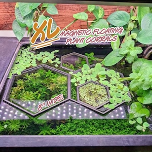 以下が含まれることがあります： 水槽に展示されている、幅20cmのXL磁気フローティングプラントコーラル。黒い六角形のコーラルには、さまざまな水生植物が入っています。「XL」と「8」wide!」というテキストが表示されています。