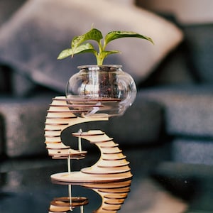 Puede incluir: Una pequeña planta en maceta con hojas verdes se encuentra sobre un soporte de madera con un diseño en espiral. El soporte está hecho de madera en capas y tiene un acabado natural.