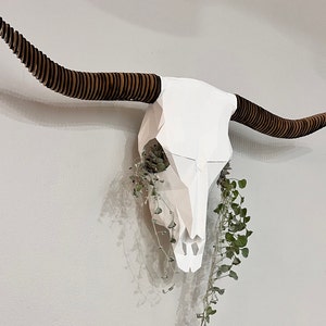以下が含まれることがあります： 白い紙製の雄牛の頭蓋骨に、茶色の木製の角がついたものが、白い壁に飾られています。頭蓋骨は、眼窩から緑色の植物が垂れ下がっています。