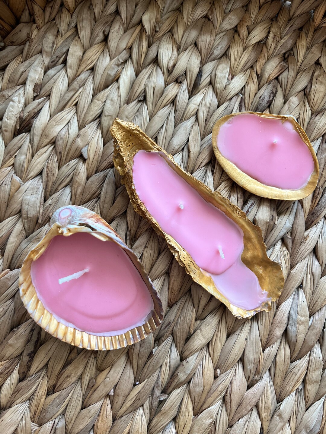 3 Seashell Candles. Shell Candles. DIY Shell Candles Candles Etsy