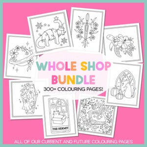 Colouring WHOLE SHOP BUNDLE!! 300+ Colouring Pages pdf/png. All Current And Future Coloring Designs Color In Bundle Kids Coloring Page Adult