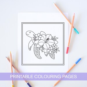 May include: A black and white line drawing of a turtle with flowers on its back. The turtle is facing the right side of the image. The flowers are hibiscus and smaller flowers. The image is in a square frame.  Printable colouring page.