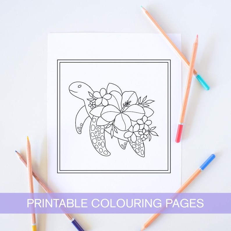 May include: A black and white line drawing of a turtle with flowers on its back. The turtle is facing the right side of the image. The flowers are hibiscus and smaller flowers. The image is in a square frame.  Printable colouring page.