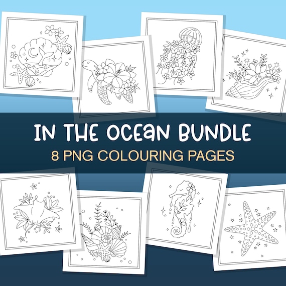 In The Ocean Colouring Page Bundle, Sea Coloring Pages, Beach Coloring In Bundle, Turtle Colouring In PNG, Jellyfish Color In Page Shells