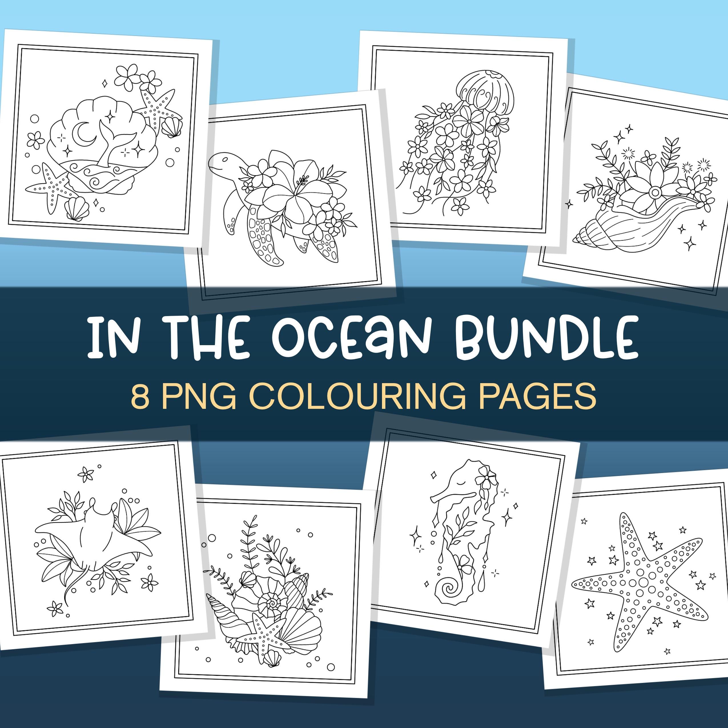In the Ocean Coloring Page Bundle â Sea & Beach Printable Pages, Turtles, Jellyfish, Shells (PNG)