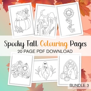 Paquete de páginas para colorear de otoño espeluznante 3, páginas para colorear de otoño, coloración divertida de Halloween en paquete PDF para colorear imprimible para adultos Página de color brujo