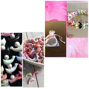 Rainbow Dolphin Beads with Various Jewelry Options