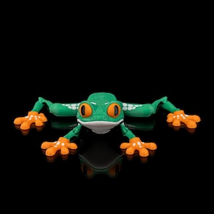 Reed the Red Eyed Tree Frog – 3D Printed Articulated Frog Toy