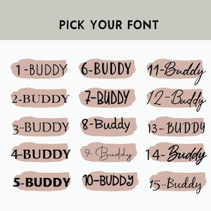 May include: A graphic showing 15 different font styles for the text "Buddy". The fonts are displayed in a grid with a light brown background.
