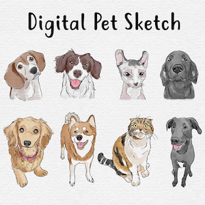 Custom Watercolor Drawing, Custom Pet Watercolor Line Art, Pet Sketch From Photo, Simple Dog Painting, Personalized Art, DIGITAL FILE ONLY