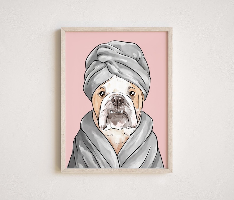 May include: A bulldog wearing a gray bathrobe and a gray turban on a pink background.