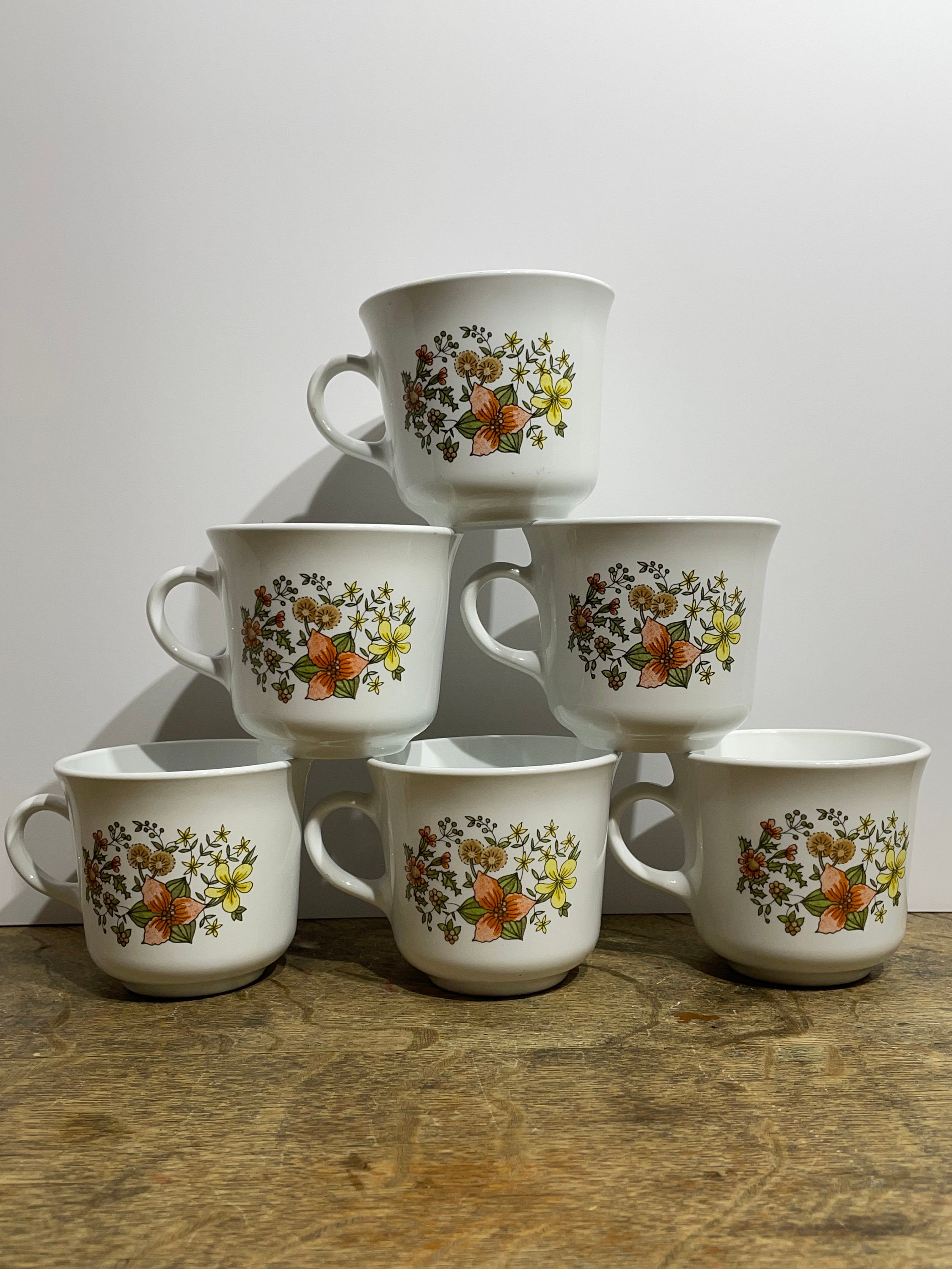 Vintage Corelle by Corning Autumn Leaf Mugs- Set of 6, Vintage