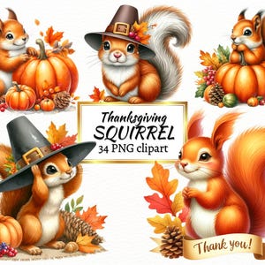 Sublimatie aquarel Happy Thanksgiving eekhoorn, schattige dieren clipartbundel, bedankje PNG, gratis commercieel gebruik en Instant Download
