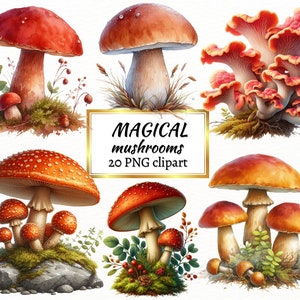 Clipart champignons aquarelle - nature forêt mignonne, amanite mouche champignon vénéneux clip art format PNG téléchargement immédiat pour un usage commercial