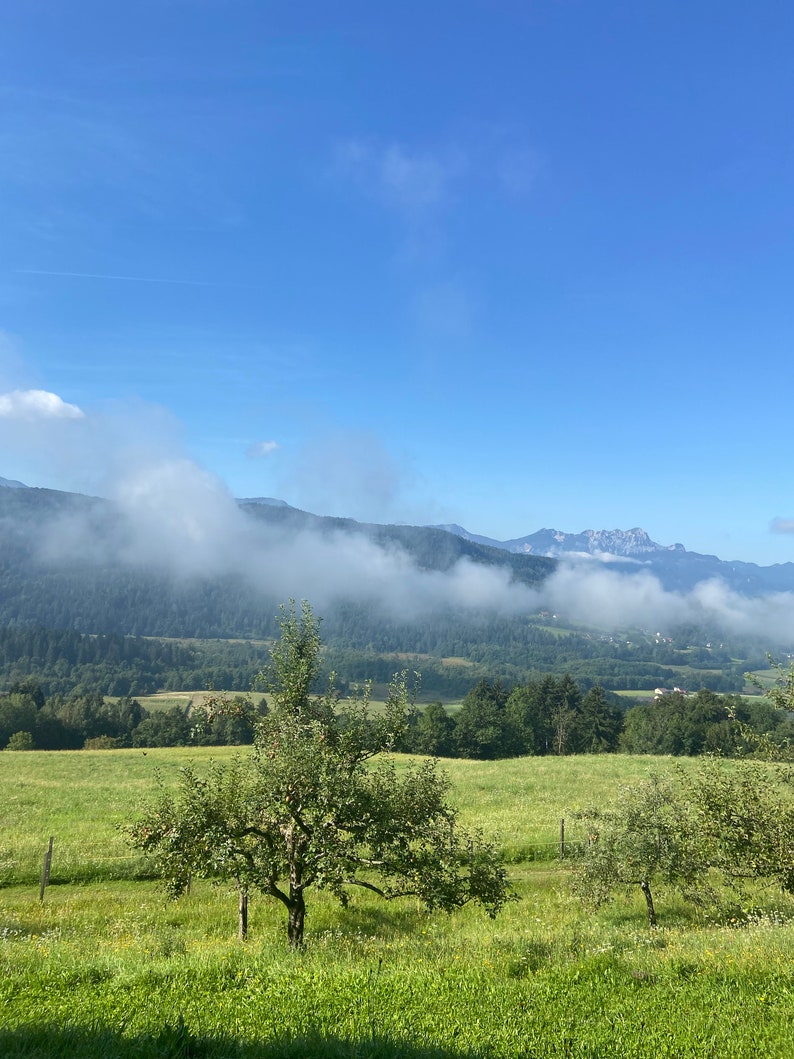 Puede incluir: Un campo verde de hierba con algunos &aacute;rboles en primer plano. El fondo muestra una cordillera con una capa de niebla o nubes que cubre las cumbres.