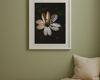 White Wildflower Printable Wall Art, Dark Botanical Flower Photography Digital Download