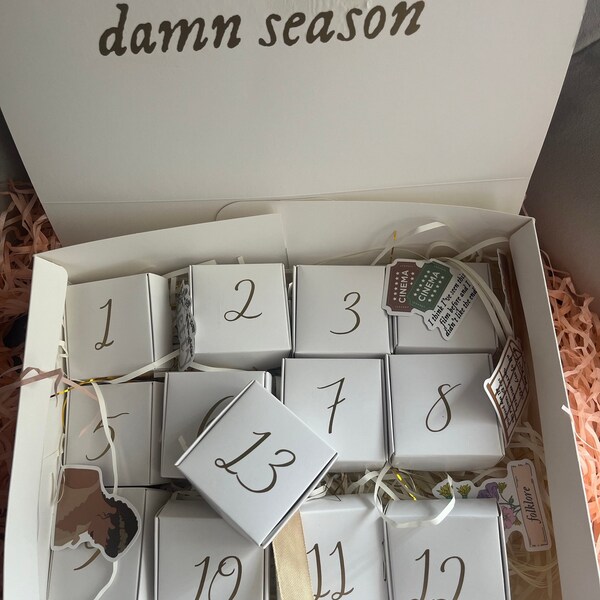 Taylor Swirft Advent Calendar Etsy