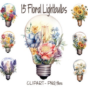 15 Blumen Glühbirne Png, Wildblumen Clipart, Glühbirne mit Blume, Gänseblümchen Clipart, Sonnenblume Png, Lavendel Clipart, Glühbirne, Boho sv
