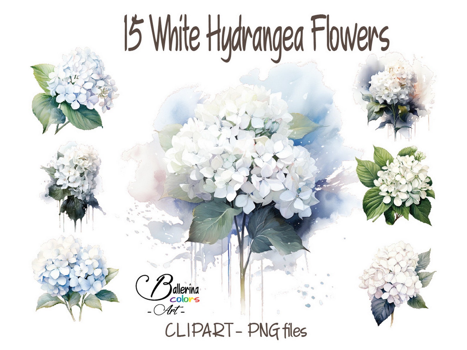 15 White Hydrangea Clipart, Hydrangea Print, White Hydrangea Paiting ...