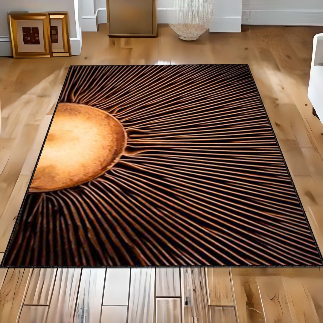Sunrise Sunset Area Rug Boho Sunshine Rug Modern Entrance Carpet, Sun