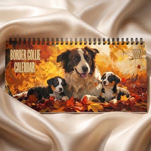 May include: A 2027 spiral-bound wall calendar featuring a printed illustration of one adult Border Collie and two puppies sitting in a pile of vibrant orange and yellow autumn leaves. The text BORDER COLLIE CALENDAR is printed on the left side.