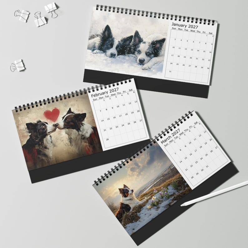 May include: Three spiral-bound desk calendars for 2027 featuring Border Collie imagery. January shows two dogs in snow, February displays two dogs with a red heart, and March depicts a dog in a snowy landscape. White clips are scattered nearby.