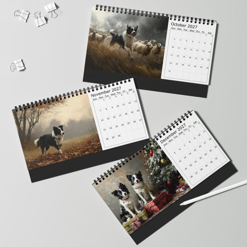 May include: Three spiral-bound desk calendars for October, November, and December 2027. Each page features a Border Collie in different settings: herding sheep, standing in autumn leaves, and sitting by a Christmas tree with wrapped gifts.