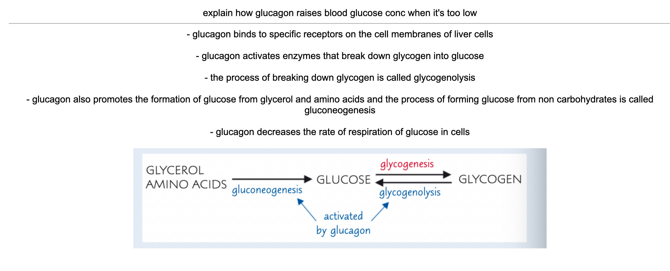 A Level Biology Anki Flashcards AS and A2 Content Etsy