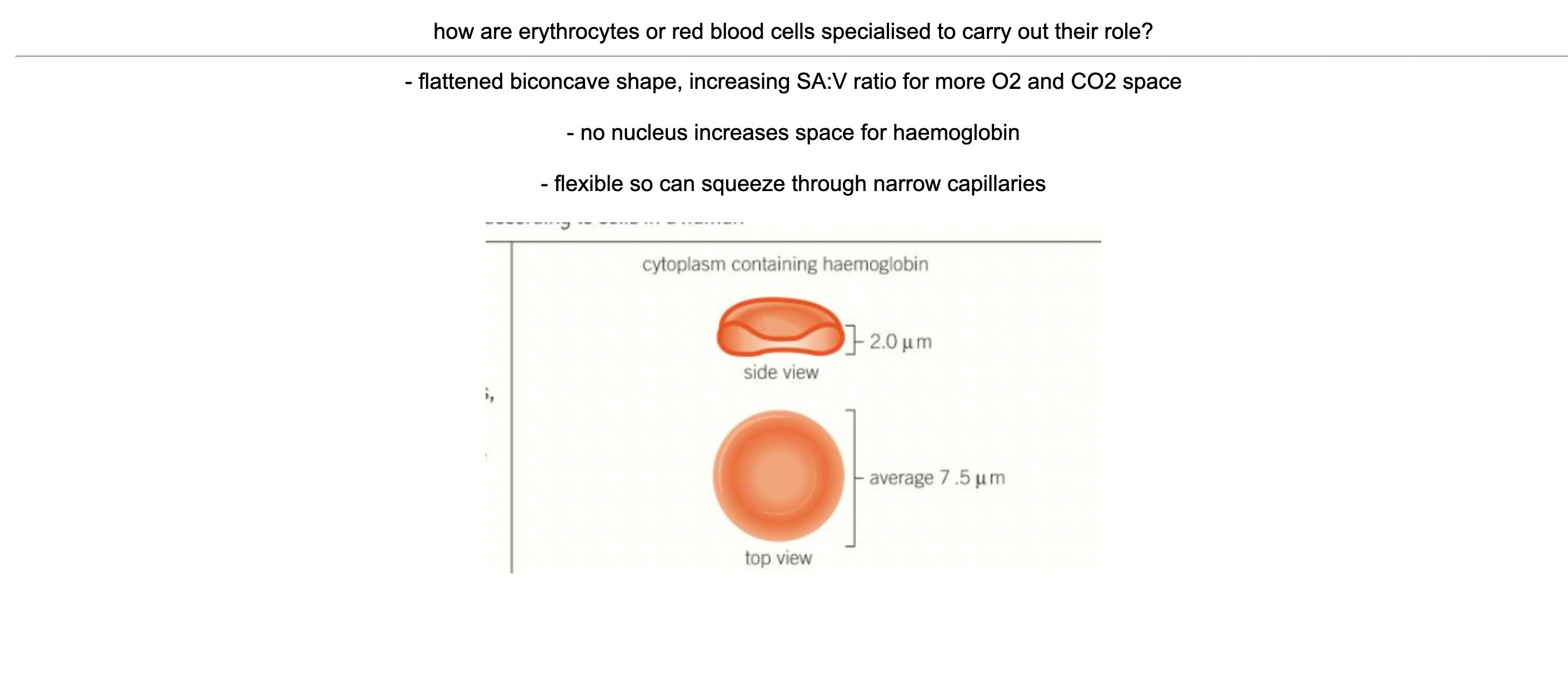 A Level Biology Anki Flashcards AS and A2 Content Etsy