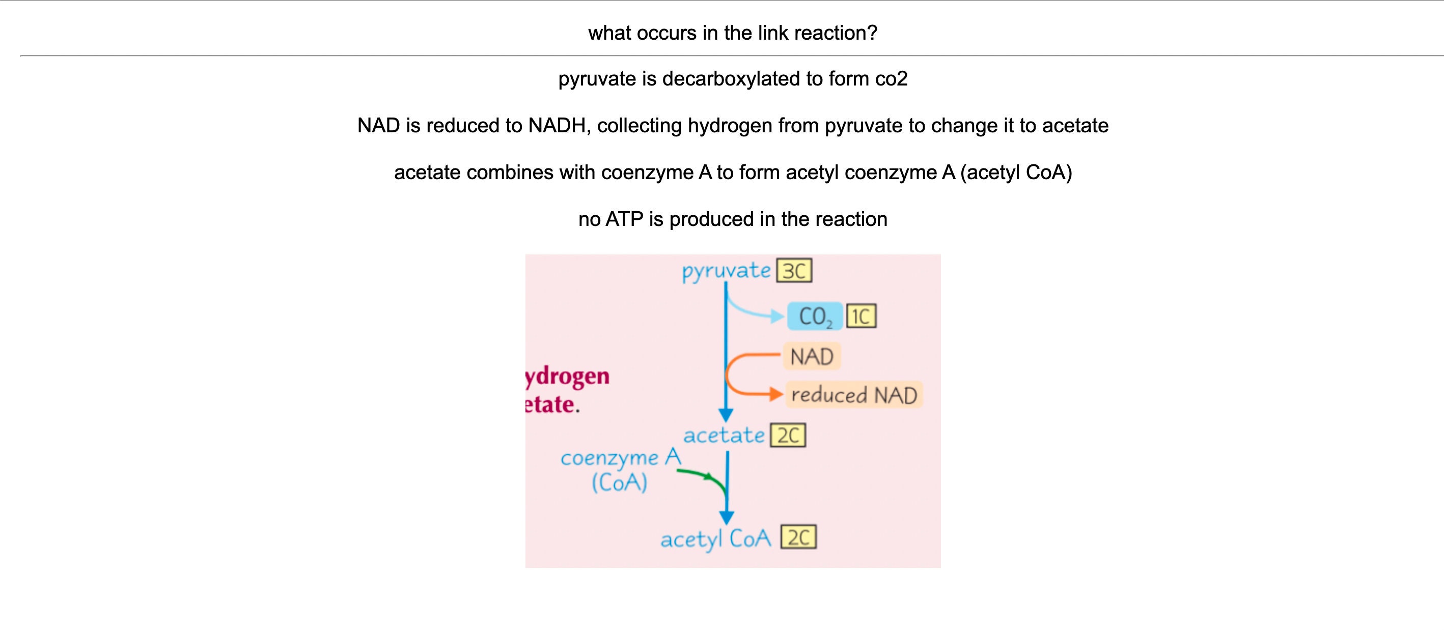 A Level Biology Anki Flashcards AS and A2 Content Etsy