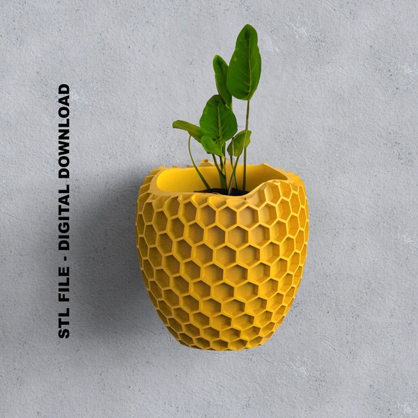 Wall Mounted Planter STL File for 3D Printing - Honeypot Honeycomb Design